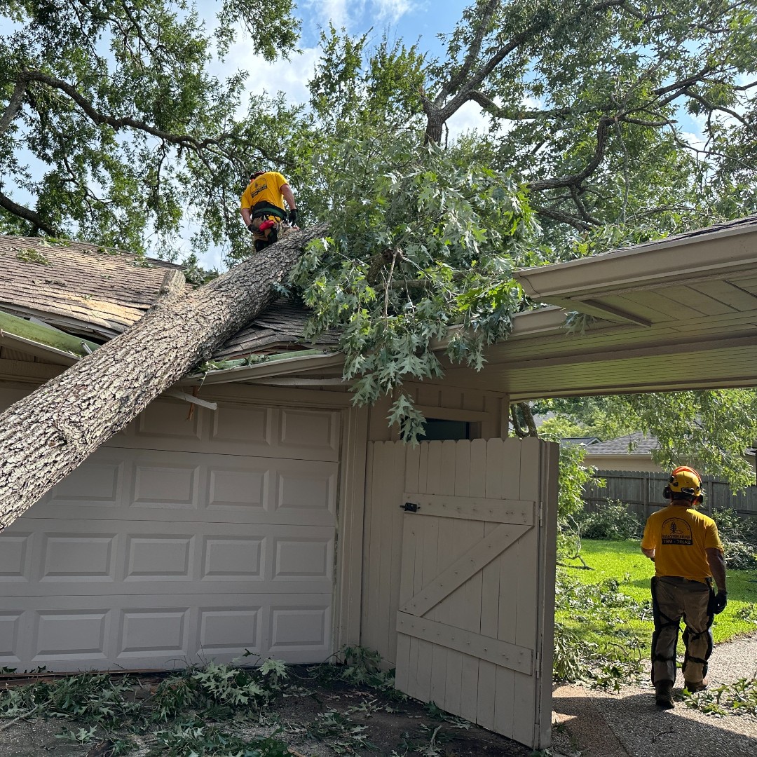 ubchouston's tweet photo. A special thanks to all of the volunteers working to help our community!
#ubchouston
#BerylRecovery https://t.co/qVaWX0F9cM