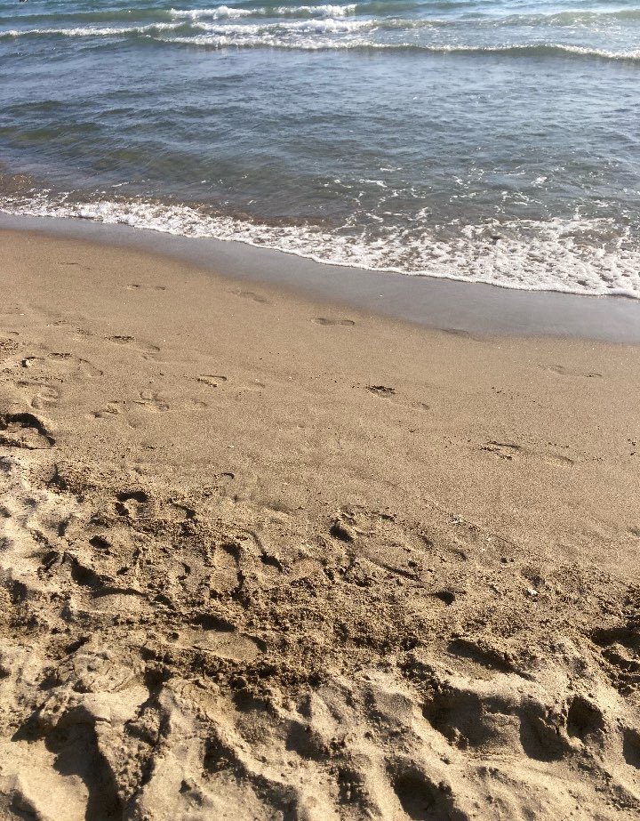 Le orme nella sabbia 
sono come certe
persone.
Valgono il tempo 
che restano.

#sabato
#estate