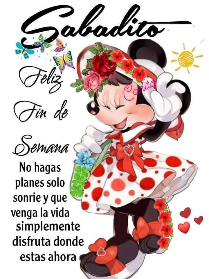 🌺🌸🪻🐭 linda tarde 🌺🌸🪻🐭🌺🌸🪻🐭🌺🌸🪻🐭🌺🌸🪻🐭🌺