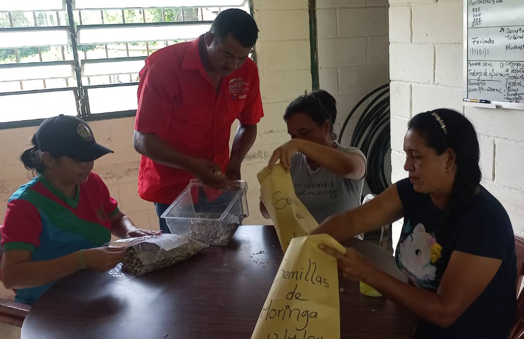 INIA Yaracuy tweet media
