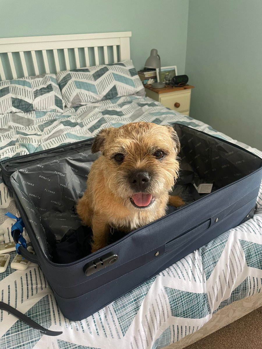 BorderDex's tweet photo. Can I come… big sis moving out 😭 https://t.co/P02mpqWgZ1