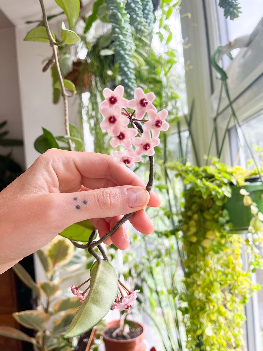 Sarah Abbott tweet media