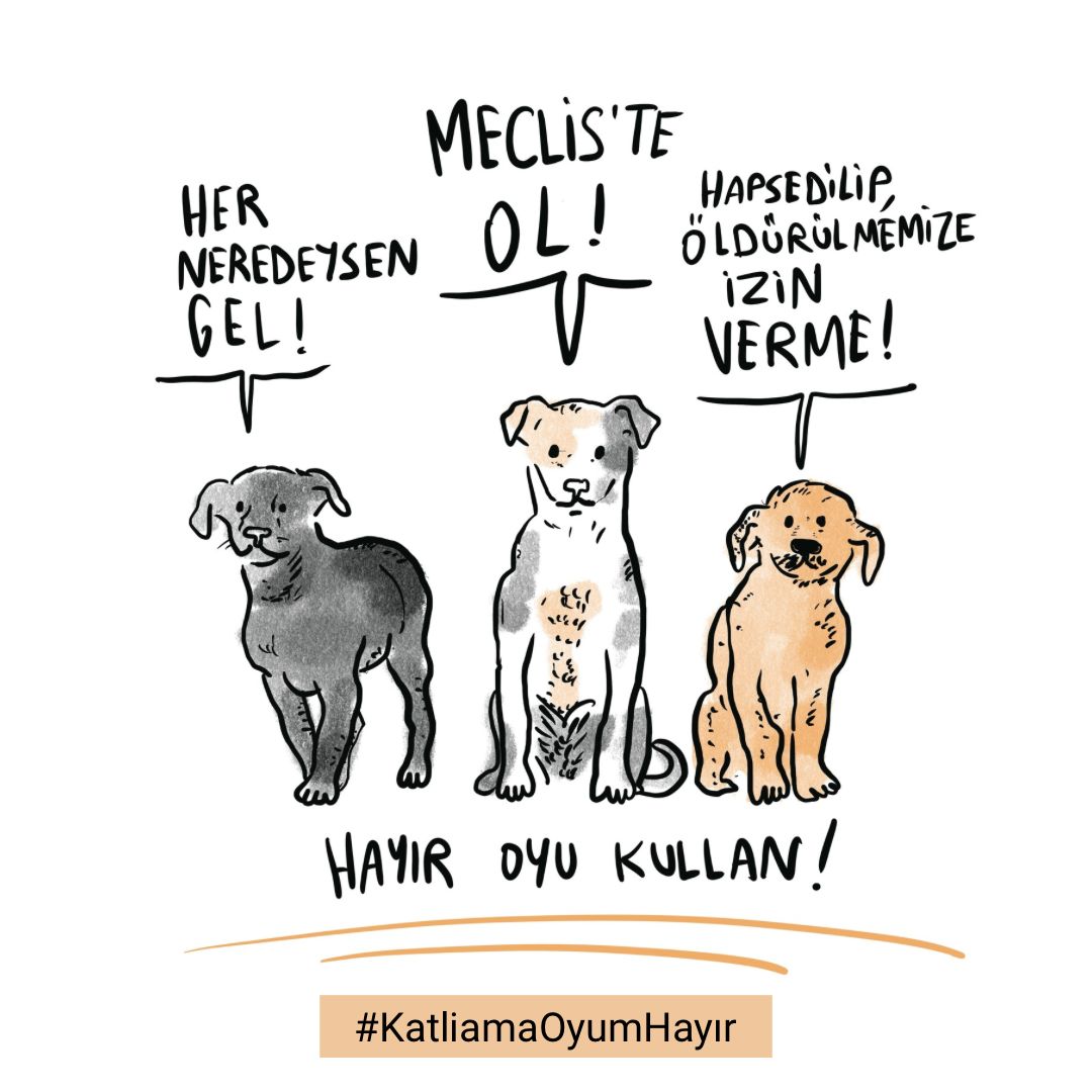 AKP’nin sokak hayvanlarını hapsedip öldürmek için Meclis’e sunduğu yasa teklifine karşı son dört gün! Bağlantıda yer alan milletvekillerinin X hesaplarını bu görsel ve hashtag ile etiketleyip onları “hayır”oyu vermeye çağırın. 🐾👉🏽 l24.im/HOu68 #KatliamaOyumHayır
