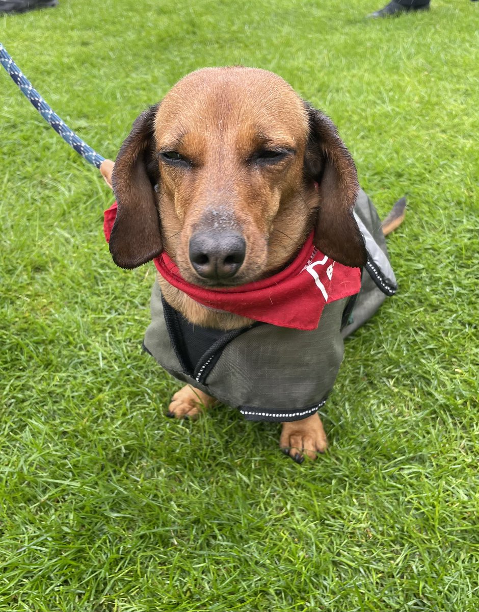 RFMacDonald's tweet image. After what seems like years of sunny, warm weather for #DurhamMinersGala #TheBigMeeting, today was miserably wet! A big hand to all the bands, banner carriers, organisers &amp;amp; speakers!
☔️✊🏽👏🏽👏🏽👏🏽
#TheFutureWeBuild