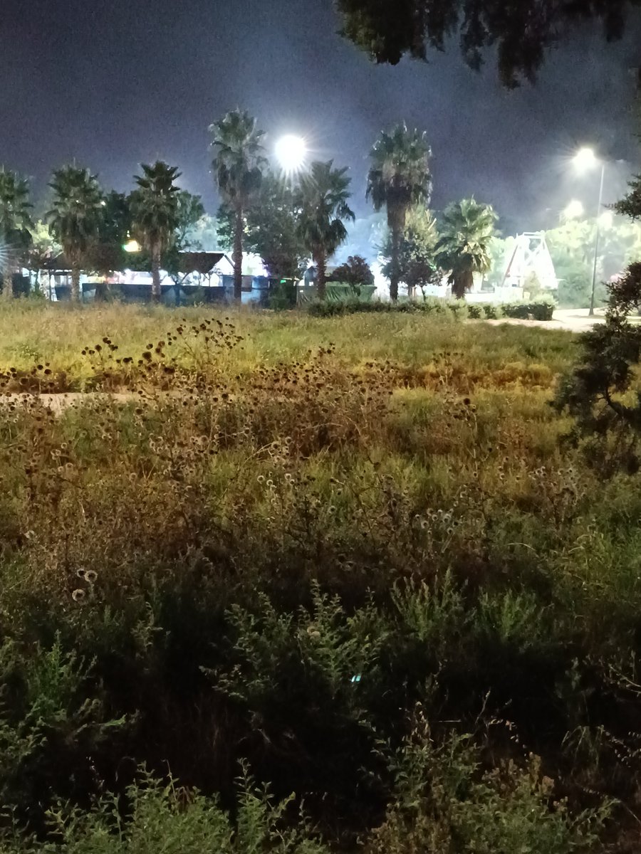 Veli7279's tweet photo. Ceyhan lunapark varmı takılmak isteyen p yada saxocu https://t.co/3ZDCScJlTw