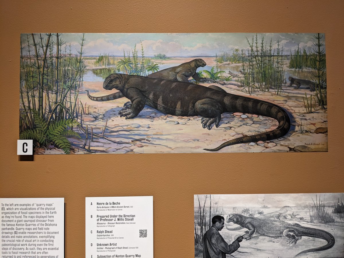 Dr. Davey F. Wright ⛏️🦕🧬 (@davey_f_wright) on Twitter photo Very cool new exhibit here at the <a href="/SamNobleMuseum/">Sam Noble Museum</a> about the history of paleoart & current perspectives toward reconstructing ancient life. In addition to some awesome fossils, this exhibit also displays spectacular artwork by the OU School of Visual Arts Very cool new exhibit here at the <a href="/SamNobleMuseum/">Sam Noble Museum</a> about the history of paleoart & current perspectives toward reconstructing ancient life. In addition to some awesome fossils, this exhibit also displays spectacular artwork by the OU School of Visual Arts