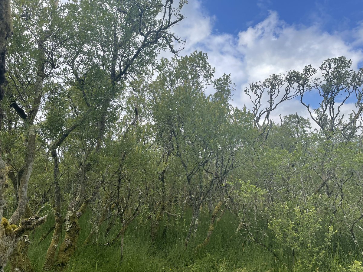 Thomas Murphy tweet media