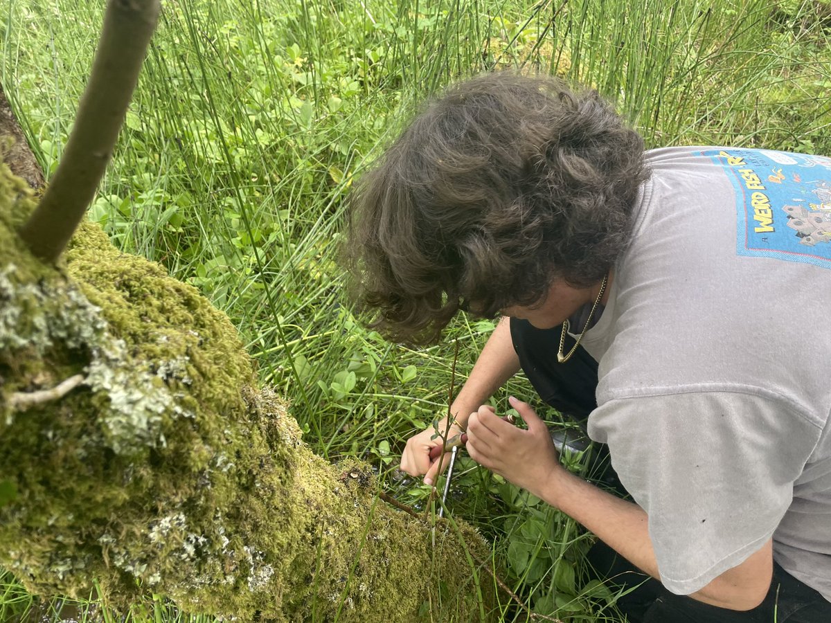 Thomas Murphy tweet media