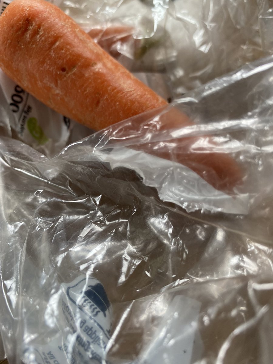 Plastic Free? somersetapple.co.uk/news/so-how-ar… #bridgwater #sedgemoor #somerset #tauntonsomerset #wellington #burnhamonsea #brean #westsomerset #minehead #cannington #westonzoyland #wedmore #wembdon #cheddar #wells #langport #chard #ilminstet #watchet #northsomerset #southwest #Highbridge