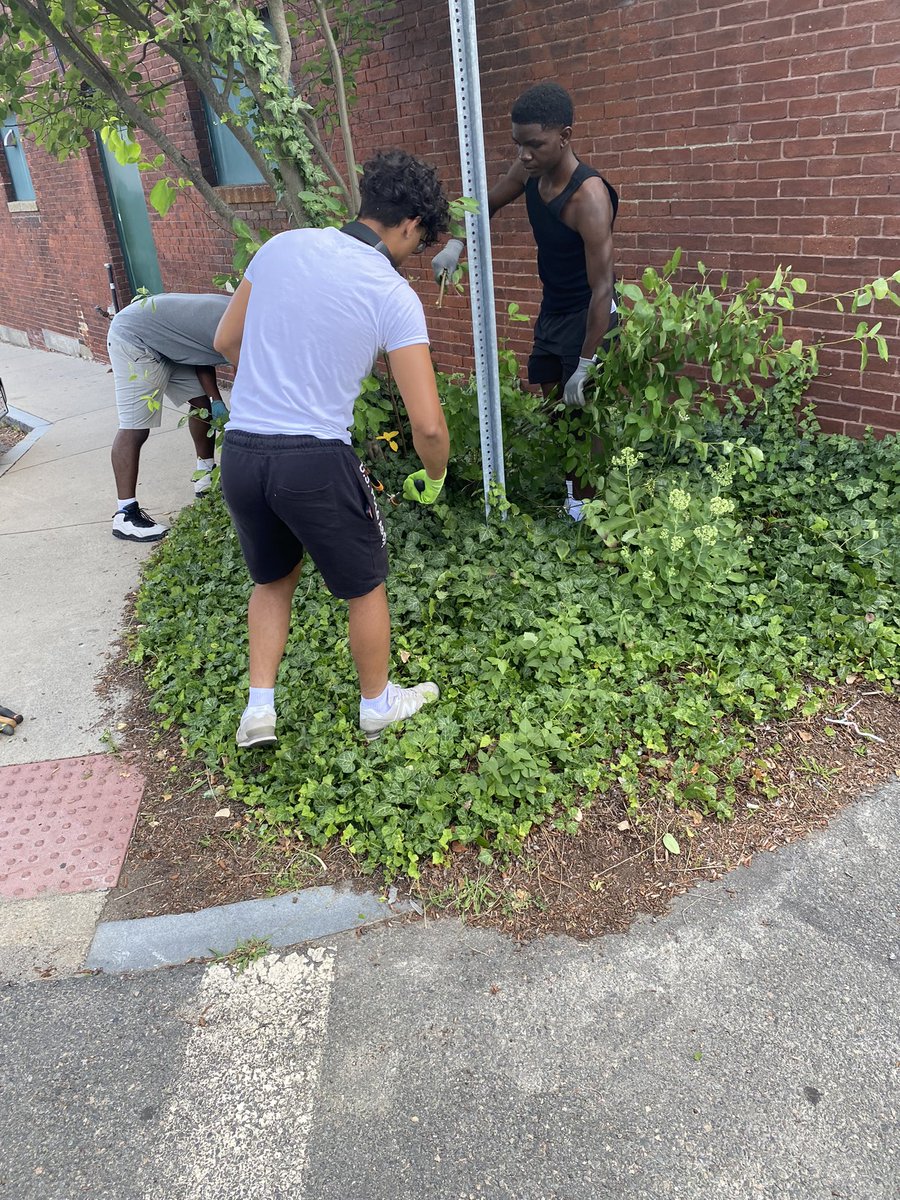 MTEC02148's tweet photo. First week of the 2024 MSYEP for MTEC!
.
.
Check out our instagram for a video showcasing the projects and activities this week
.
.
#gomalden #maldenteenenrichmentcenter #summer2024 #youthdevelopment #YouthEmpowerment https://t.co/wUWL4eFgrw