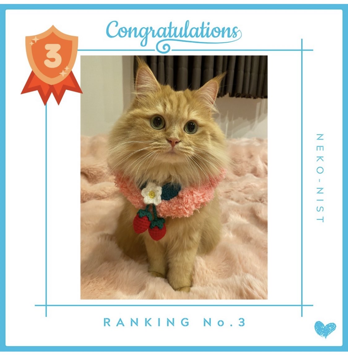 ナナブルーママ (@love_bule_7) / Posts / X