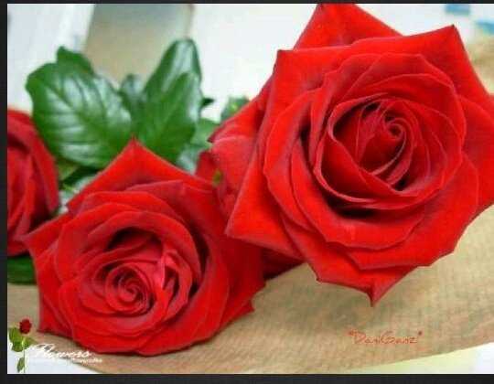 غيم tweet media