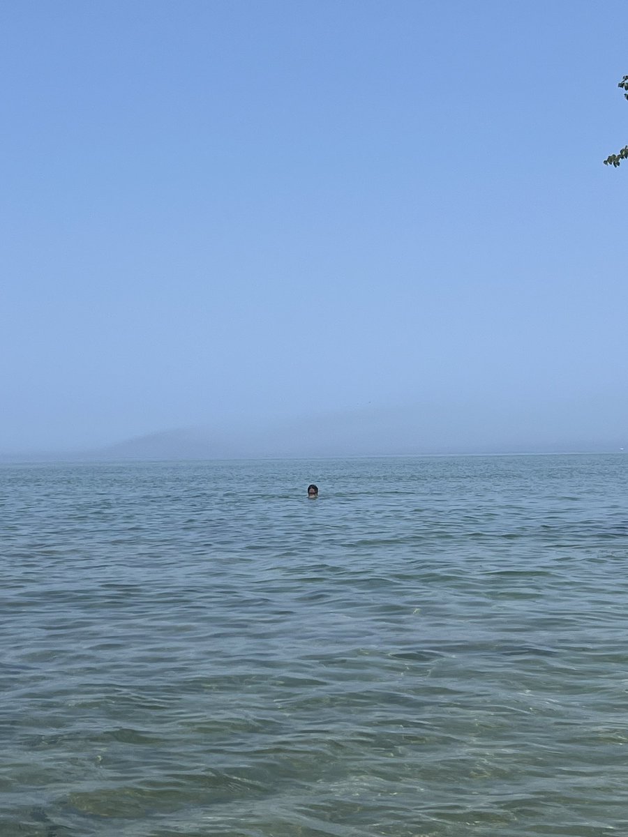 🍍I-bon🍍 tweet media