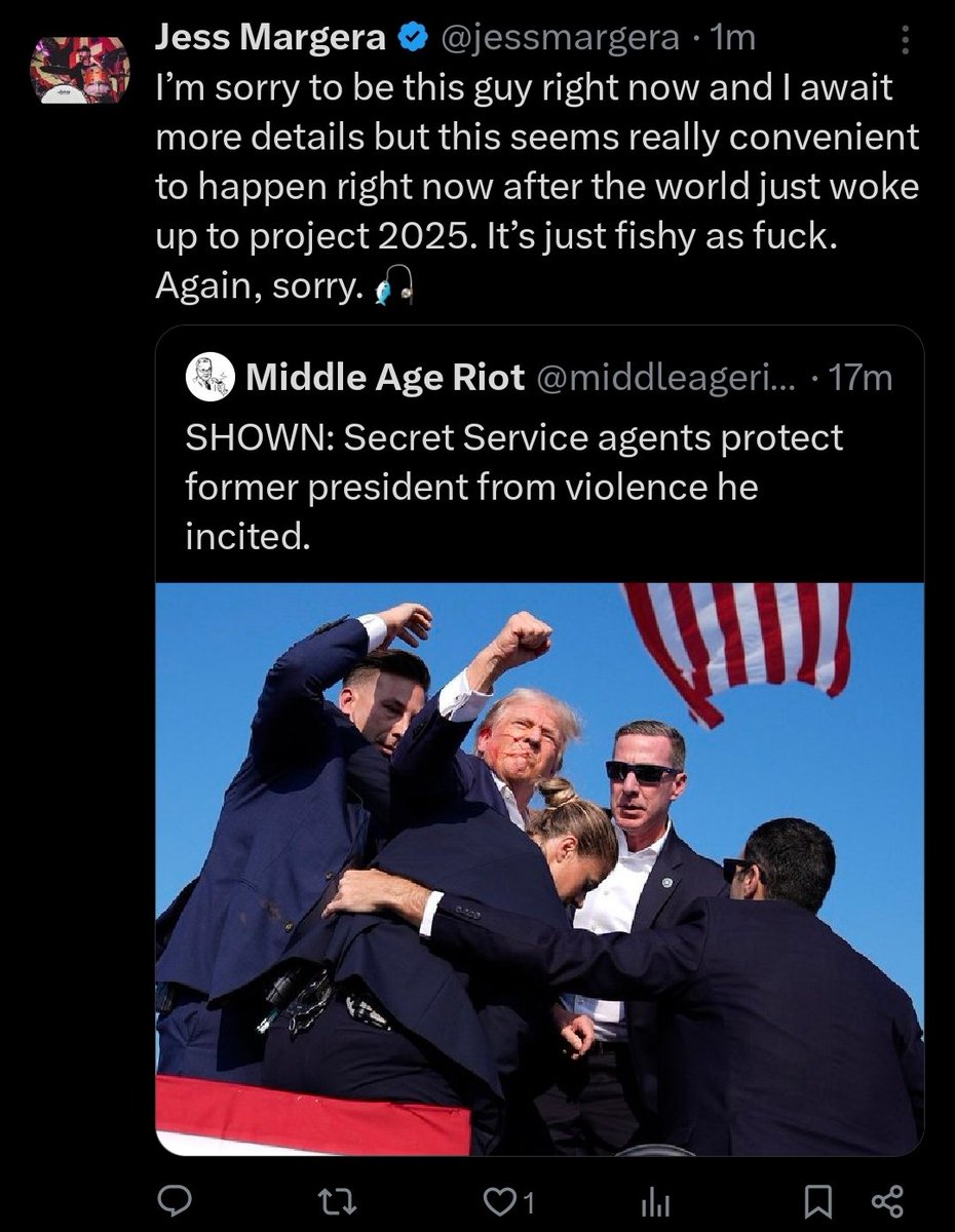 Tim Pool tweet media