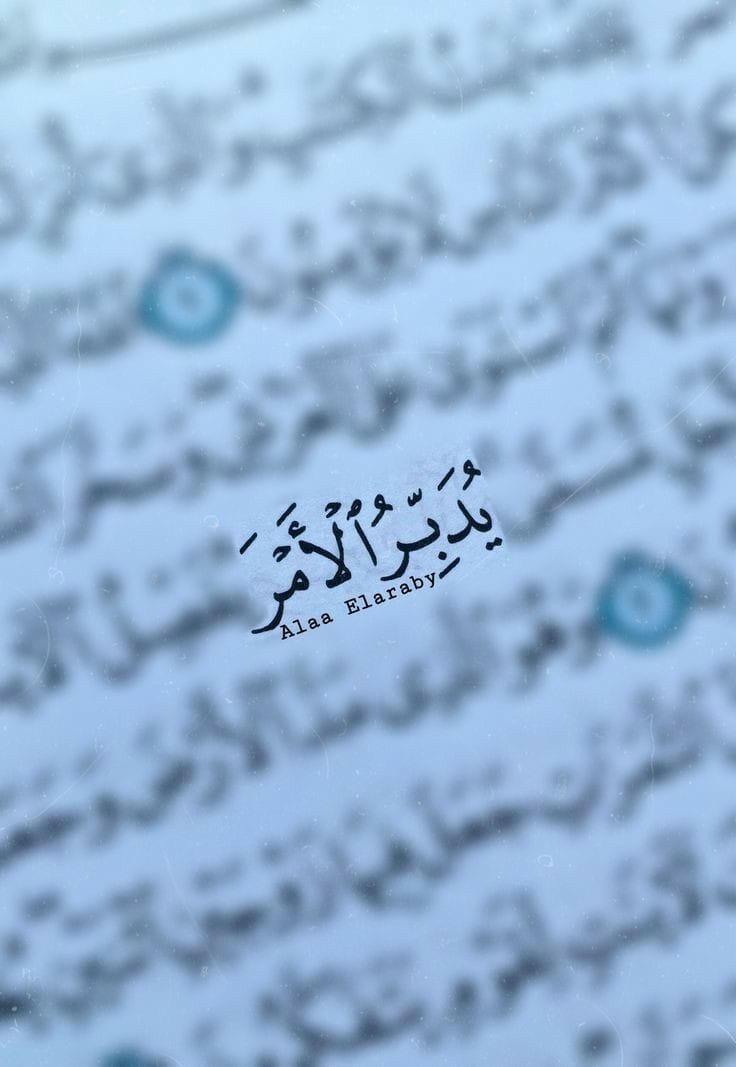 iMsseaage_'s tweet photo. ��شرى لك ❤️ https://t.co/Rqe8V6KhCH