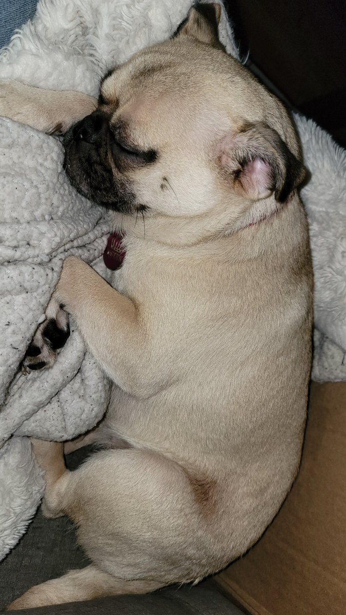 TheTickerBoo's tweet image. 