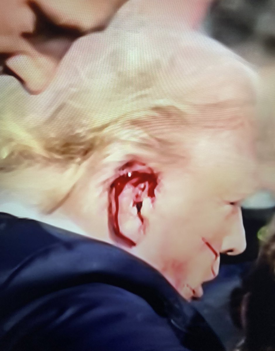 Moises H tweet media