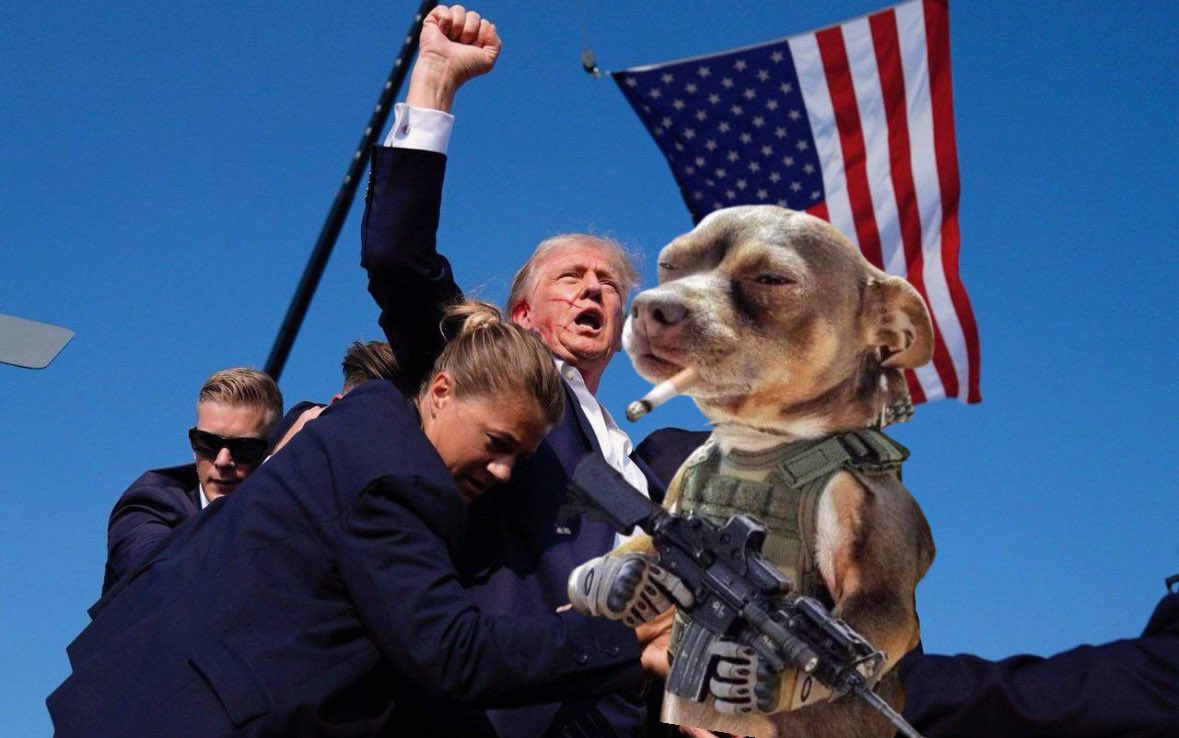 Crypto_rusky's tweet photo. $PUPG GANG TO SAVE $TREMP $MAGA https://t.co/ucT9KL0k0x