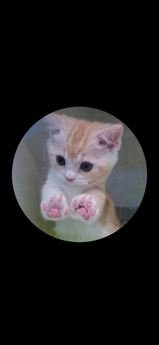 Kole Johnson tweet media