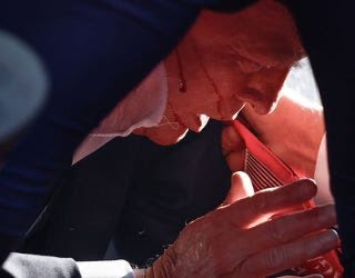 Ana Paula Henkel tweet media