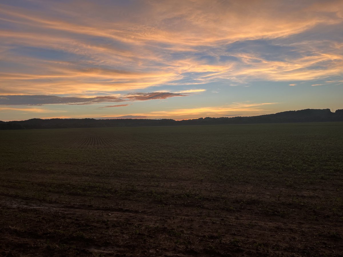Praying for President Trump tonight 🙏🏻 from the farm in Tennessee