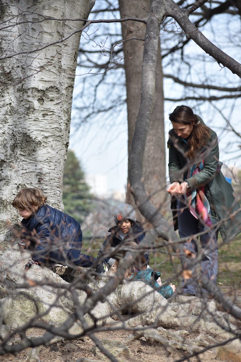 SteinerSchoolNY's tweet photo. “In raising children, we need to continuously keep in mind how we can best create the most favorable environment for their imitative behavior.” #rudolfsteiner #steinerearlychildhood #steinernursery #childdevelopment #unstructuredplay #steinerstudents https://t.co/sbA5qbqaiO