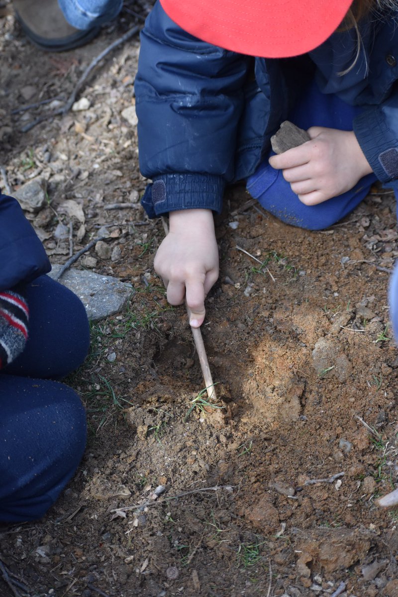 SteinerSchoolNY's tweet photo. “In raising children, we need to continuously keep in mind how we can best create the most favorable environment for their imitative behavior.” #rudolfsteiner #steinerearlychildhood #steinernursery #childdevelopment #unstructuredplay #steinerstudents https://t.co/sbA5qbqaiO