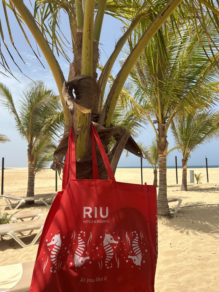 macpiglet's tweet photo. Amazing holiday @TUIUK @RiuHoteles #CaboVerde #NoStress #Paradise https://t.co/BudkPOFxte