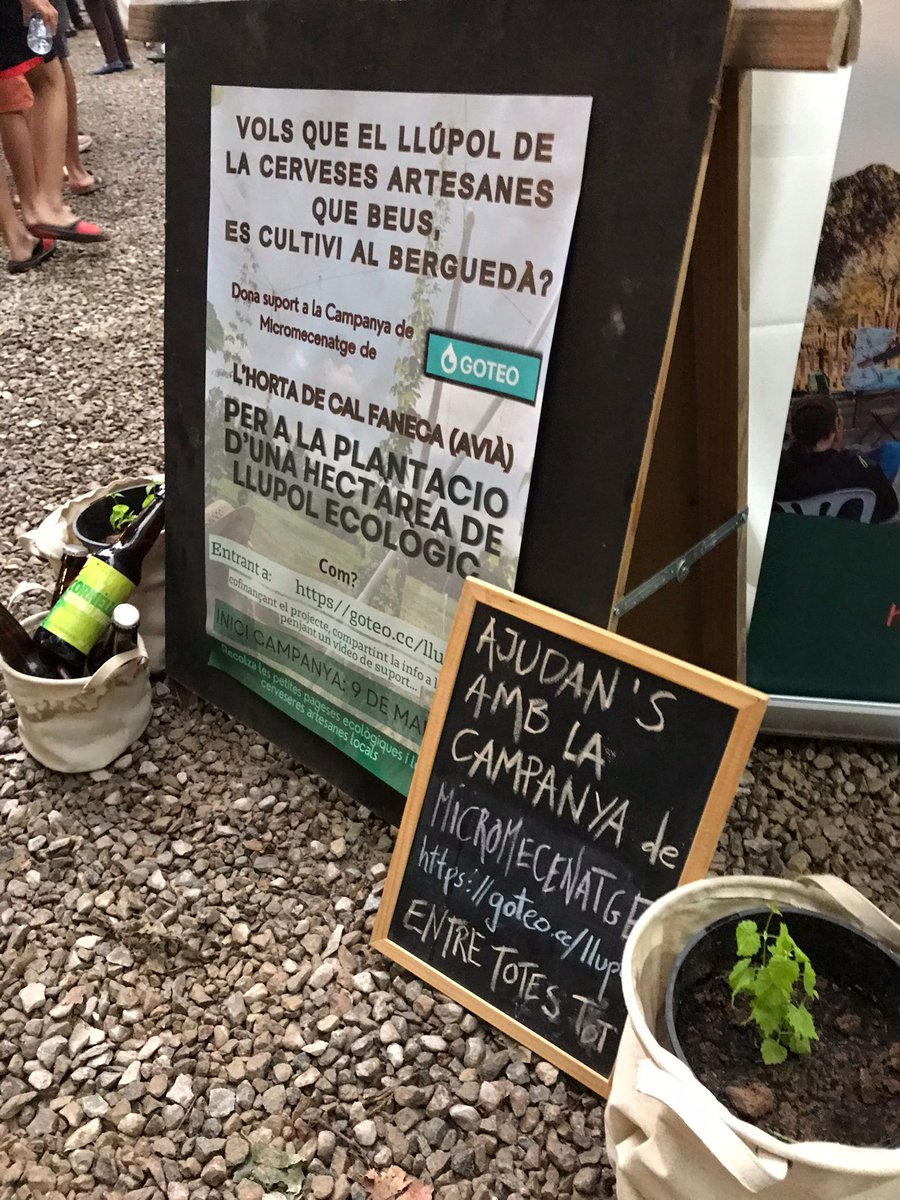 calfaneka's tweet photo. ⏳️TIC TAC ⏳️ 

⚠️ Queden nomes 1️⃣5️⃣ dies !!! 

🔥Dona suport a la plantació d’una hectàrea de llúpol ecològic al Buerguedà 🌿🌿 

📍Entra a https//goteo.cc/llupol 

👩🏾‍🌾  Recolza les petites pageses ecològiques i les cerveseres artesanes locals 🍻

ENTRE TOTES, TOT  ✊🏿 https://t.co/kH5cTIdjC5