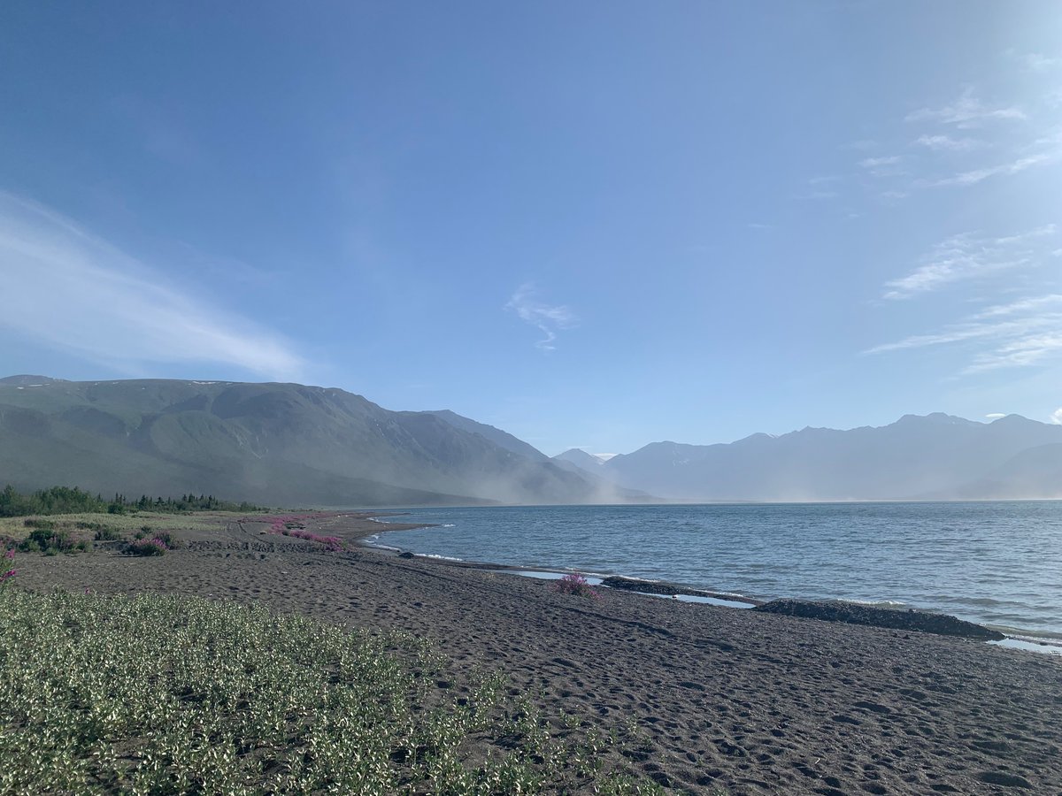 Elad David tweet media