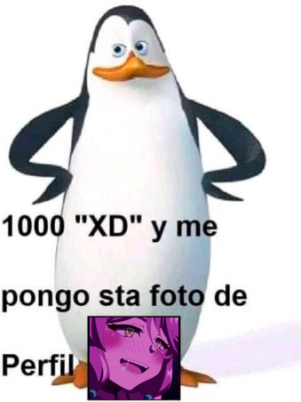 OlmakoVt tweet media