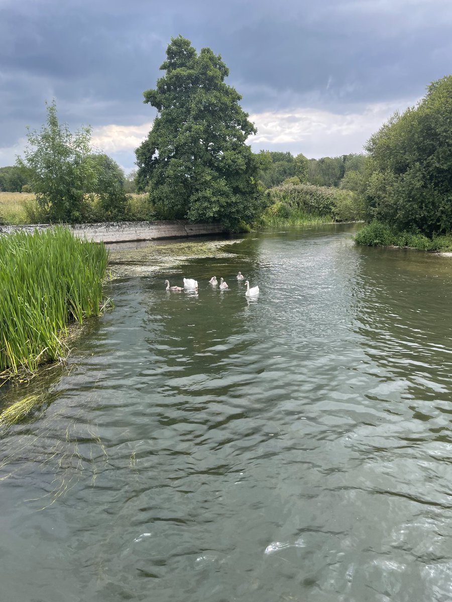 Rob_Salisbury's tweet photo. Great day with ⁦@HarnhamWMT⁩ . Definitely worth a visit on next Open Day in August https://t.co/zdohD7iMgw