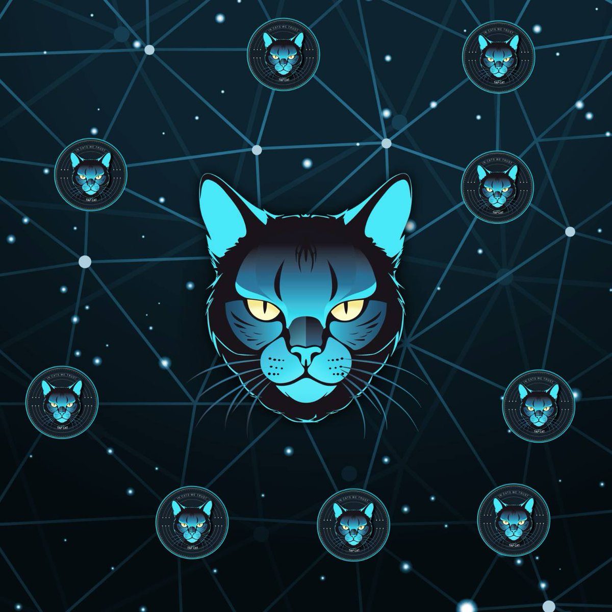 TAPCAT tweet media