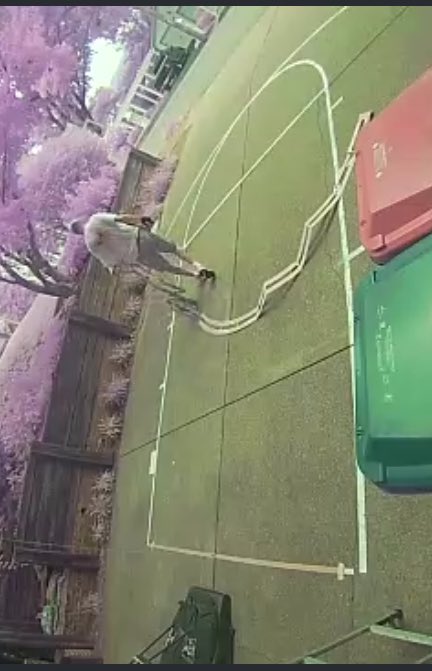 How do you tell someone you’re from Indiana without telling them you’re from Indiana? I’ll go first:

“My dad painted a basketball court in our driveway today as a surprise for his granddaughter.” 🏀

#drivewaybasketballcourt #hoosiers