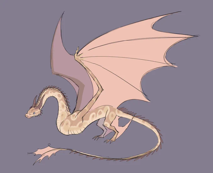 drew my snake as a dragon