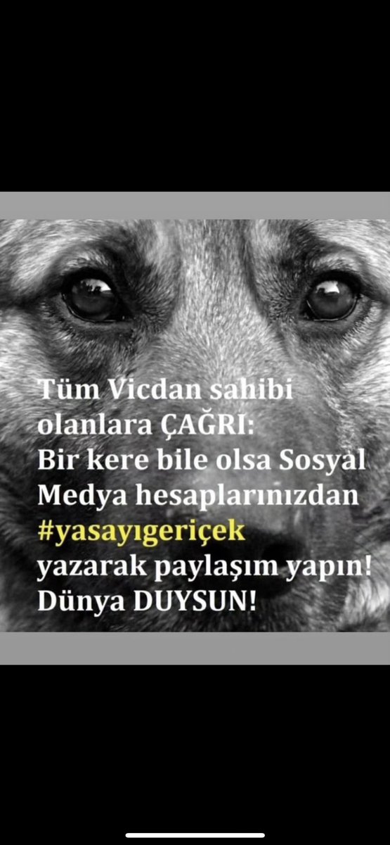 feyzaesiner's tweet photo. #YasayıGeriCek https://t.co/8K0UFeSnkX