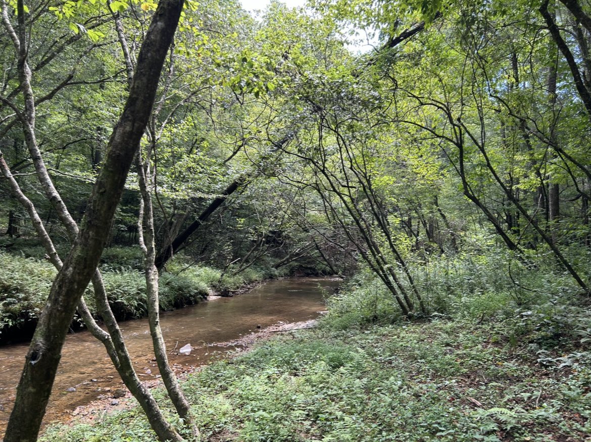 Summer morning breathes 
       in waves of warmth 

#7wordspoet #inkmine #writingcommunity 
My pic