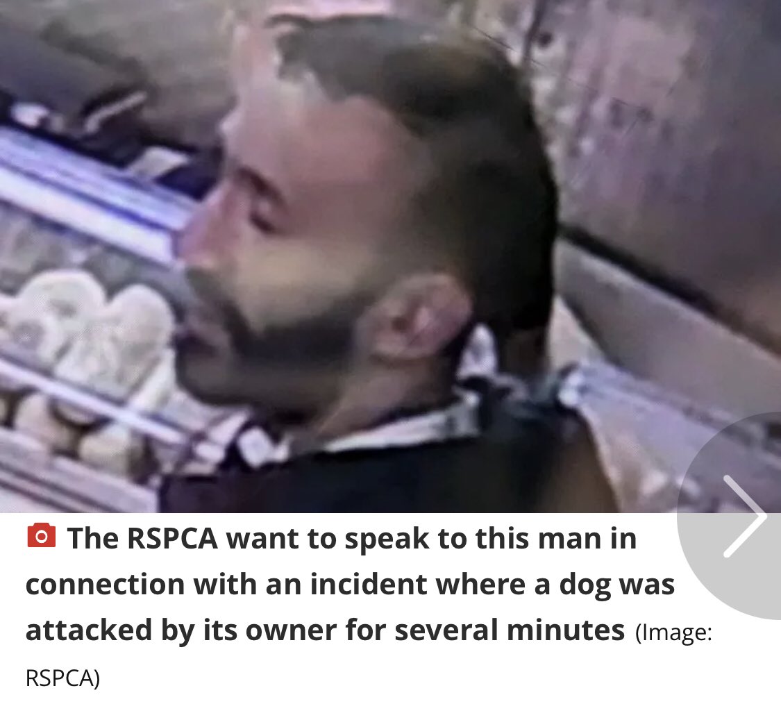 Please retweet, 3 incidents of violence towards dogs in #Tottenham #London #UK  are they linked? 
 DO YOU RECOGNISE THIS MAN?  ⭐️⭐️⭐️⭐️⭐️
INCIDENT 1 Bully dog found beheaded, burnt and cut into pieces near children’s playground 25 April 2024  A bully dog has been discovered with