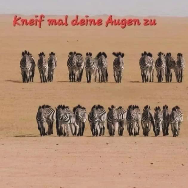 florida170285's tweet photo. @mimmismama Ich hab noch nie etwas kommentiert, aber du bist gut so wie du bist. Lass dir niemals etwas anderes einreden. https://t.co/SEGd10ACNO