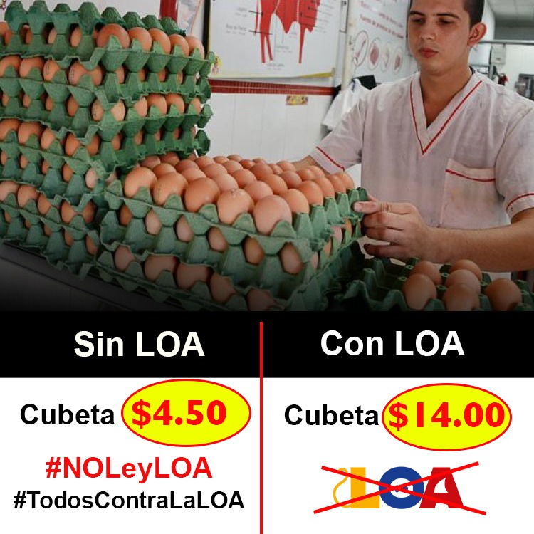 VigilantesQuito's tweet photo. La Ley LOA tiene como objetivo d destruir el sistema productivo dl EC, desean causar un caos utilizando a los animales #NoLeyLOA #TodosContraLaLOA @acdavalost @rgdelat @CarlosVerareal @LaPosta_Ecu @DefensoresAn @AnitaMGalarzaA @CarlosVerareal #Quito @jorgepenafielc @lilicarrera https://t.co/GrtC1QBnut