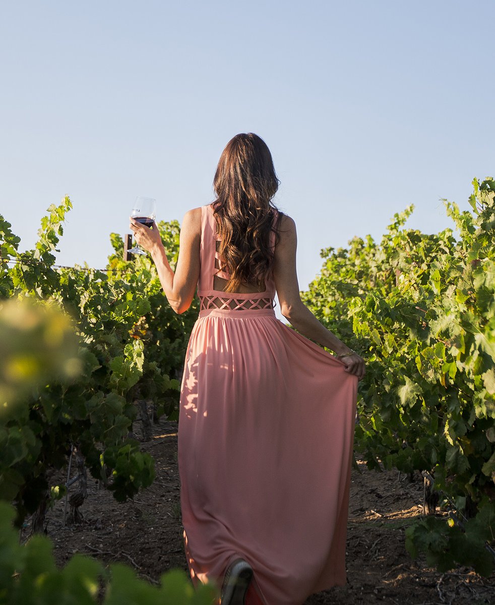 hopefamilywines's tweet photo. The sun is shining, the vines are lush and the wine is flowing in Paso Robles. Visit us soon! https://t.co/EtGnwfb3rH