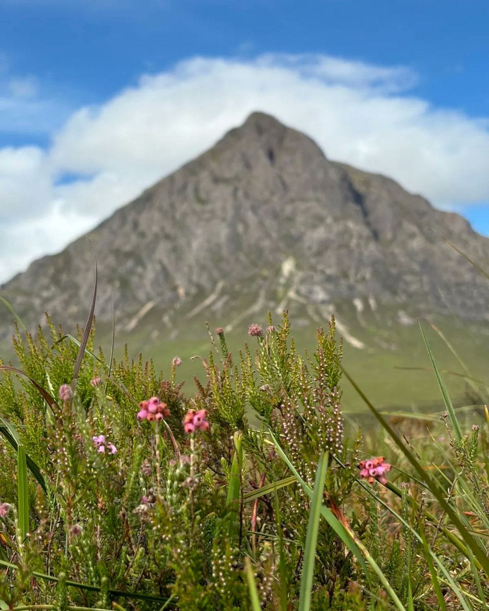 Robin Gålnander tweet media