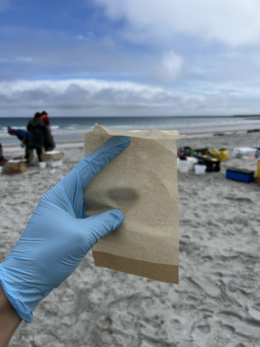 TessaPlint's tweet photo. Did you know that loose-leaf #tea bags are the best way to store and fix your lymph node samples during a #whale necropsy?… ☕️ 🐳 🔪 

#NerdFacts #TeaTime #Orkney #StrandingsTeamResponse https://t.co/Zft5NByMOS