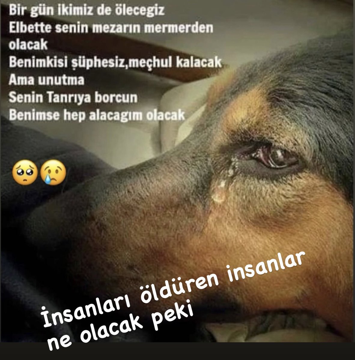 Yaseminkoca83's tweet photo. Sözün bittiği yer… https://t.co/OzAd3sQTdb