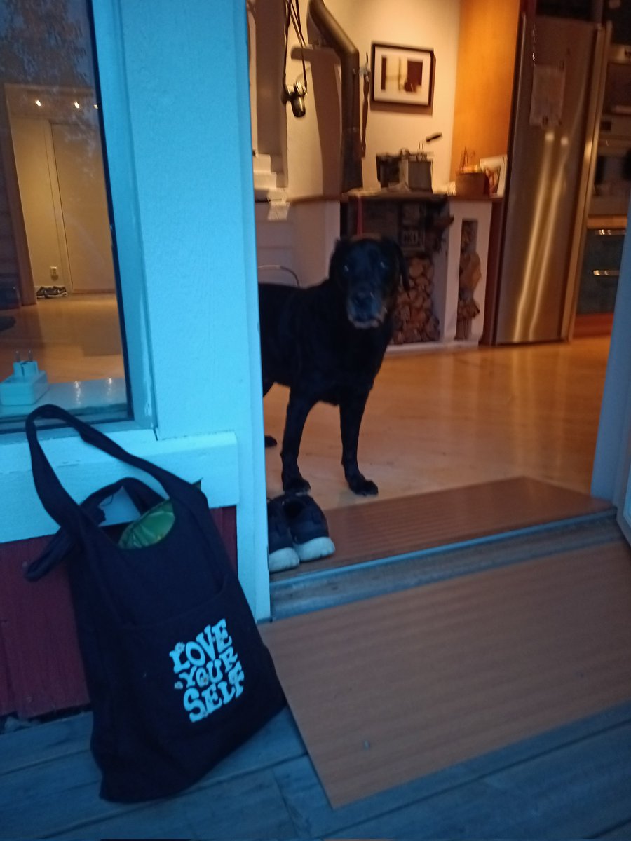 BSoftaofta's tweet photo. @Amy89002 #Love from the woods #Värmdö Amy 🥰 at work #Cooking Scampi did most work on the lasagne si si  ✌️💞😁🇸🇪🇺🇲🇪🇺🇺🇦🎶🏴‍☠️🌍💛❤️💙🌲💯💨🥰💦 back home #TheWoods https://t.co/fvqZfW71Mn