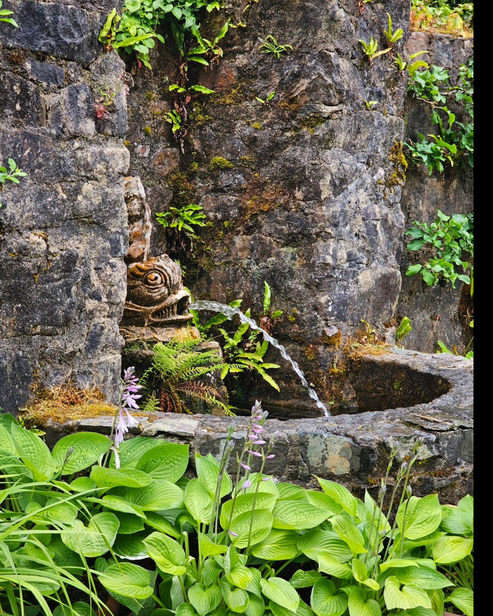 A mid-July perambulation around Glenveagh Castle Gardens, Donegal.