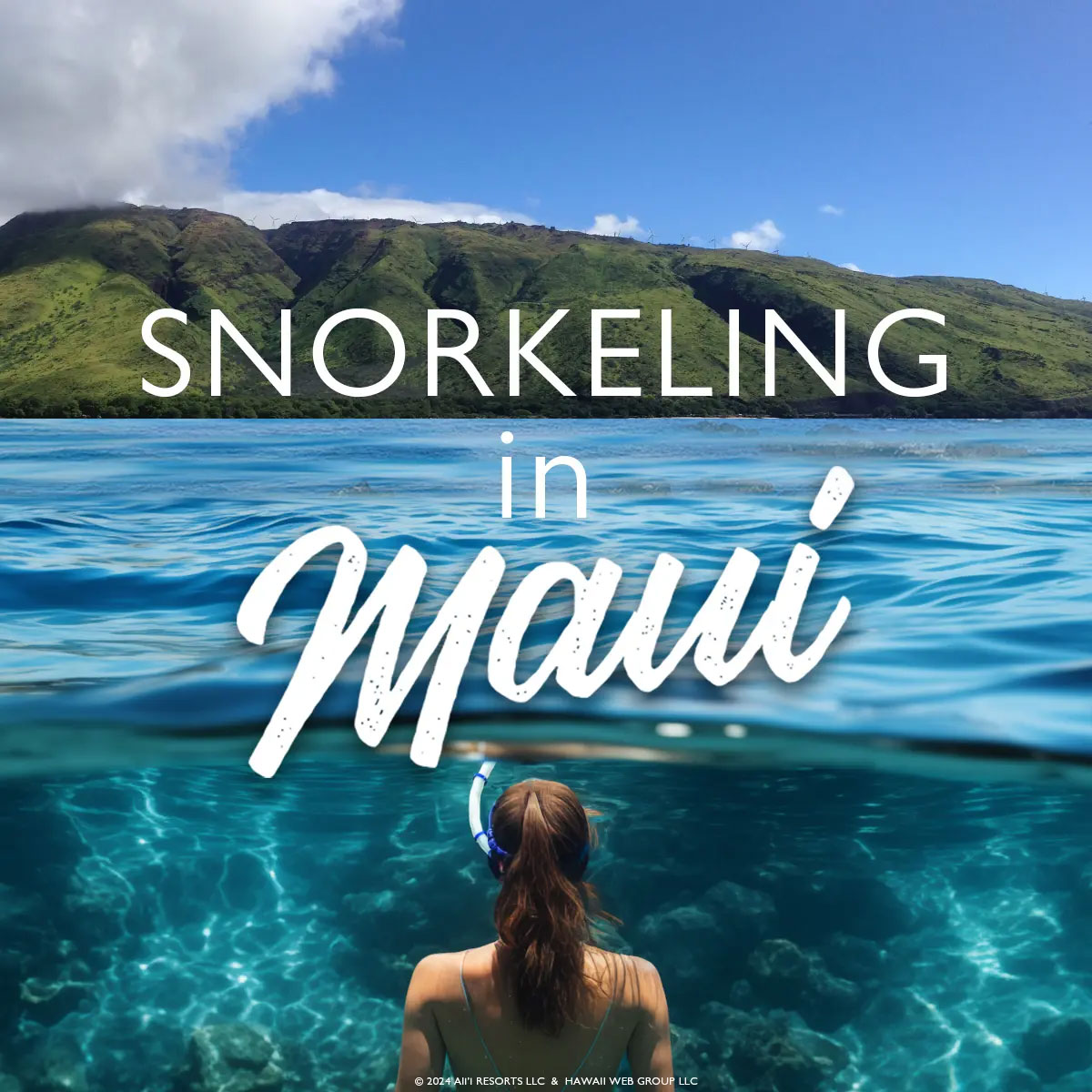 AliiResorts's tweet photo. Snorkeling in Maui: A Comprehensive Guide 🐠

From top snorkel spots to essential safety tips, our blog has everything you need to know for an incredible snorkeling adventure.
https://t.co/wFraVx29kx

#SnorkelingMaui #ExploreMaui #Snorkeling https://t.co/lyyYg7Kdt8