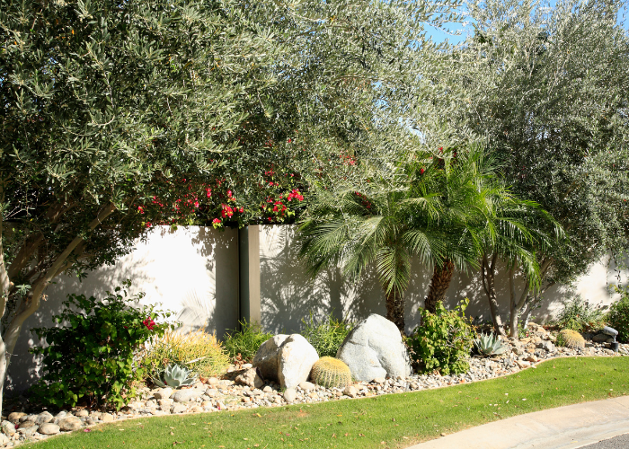 Hydroviv's Water Nerds (@hydroviv_h2o) on Twitter photo Using drought-resistant landscaping is a significant step in water conservation during drought conditions
apnews.com/article/califo… <a href="/PaulFox13/">Paul Dellegatto⚡️FOX</a> <a href="/WESH/">WESH 2 News</a> <a href="/TB_Times/">Tampa Bay Times</a> <a href="/Florida_PIRG/">Florida PIRG</a> <a href="/Fox35Amy/">Amy Kaufeldt FOX 35</a> <a href="/ByIanJames/">Ian James</a> <a href="/CaWaterBoards/">California Water Boards</a> <a href="/DrSCoffin/">Scott Coffin, Ph.D.</a> <a href="/htuy/">Héctor Tuy</a> <a href="/c40cities/">C40 Cities</a> <a href="/dadigan/">Marc Dadigan</a> <a href="/stelbailey/">Stel Bailey</a> <a href="/wusf/">WUSF</a> <a href="/DinahVP/">Dinah Voyles Pulver</a> Using drought-resistant landscaping is a significant step in water conservation during drought conditions
apnews.com/article/califo… <a href="/PaulFox13/">Paul Dellegatto⚡️FOX</a> <a href="/WESH/">WESH 2 News</a> <a href="/TB_Times/">Tampa Bay Times</a> <a href="/Florida_PIRG/">Florida PIRG</a> <a href="/Fox35Amy/">Amy Kaufeldt FOX 35</a> <a href="/ByIanJames/">Ian James</a> <a href="/CaWaterBoards/">California Water Boards</a> <a href="/DrSCoffin/">Scott Coffin, Ph.D.</a> <a href="/htuy/">Héctor Tuy</a> <a href="/c40cities/">C40 Cities</a> <a href="/dadigan/">Marc Dadigan</a> <a href="/stelbailey/">Stel Bailey</a> <a href="/wusf/">WUSF</a> <a href="/DinahVP/">Dinah Voyles Pulver</a>