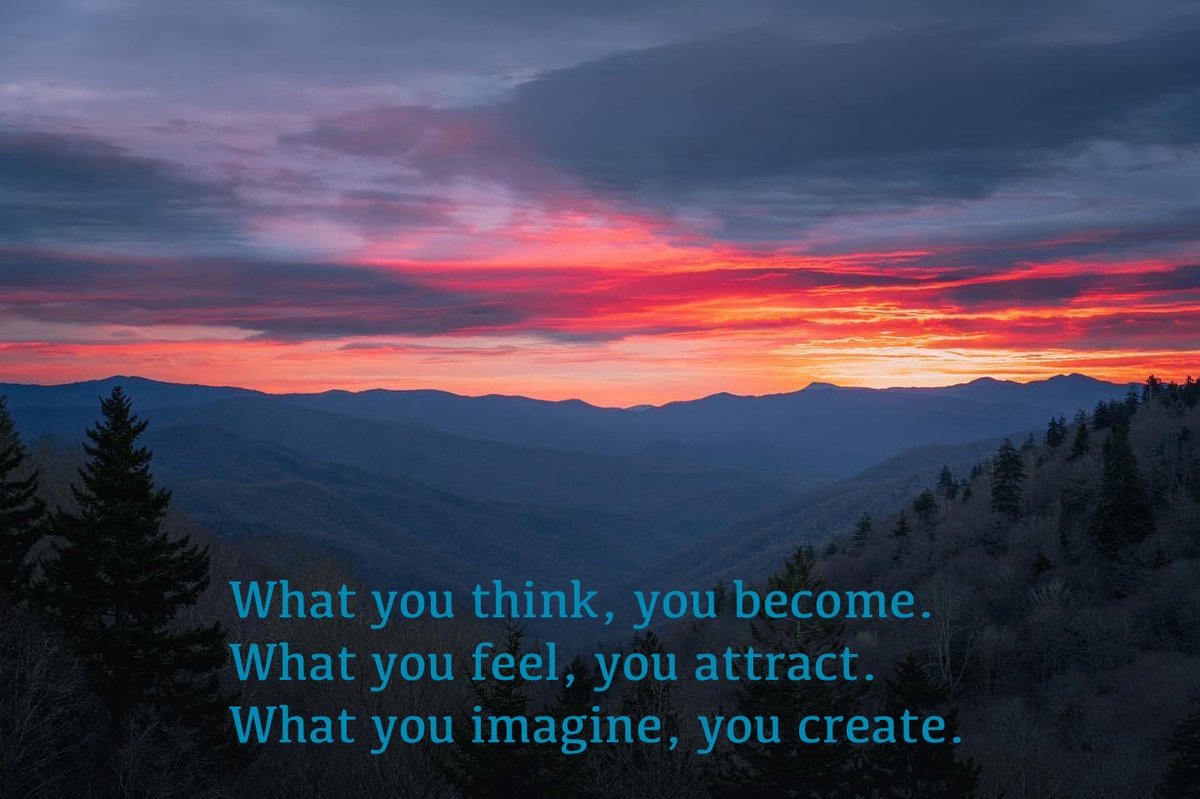 basednerd_'s tweet image. I am not in Tennessee yet. I have envisioned myself being there with my family. On a homestead. Mountain View’s. Chickens. Land. Freedom. My visions always become reality. Forget the how. It’s just a matter of when.