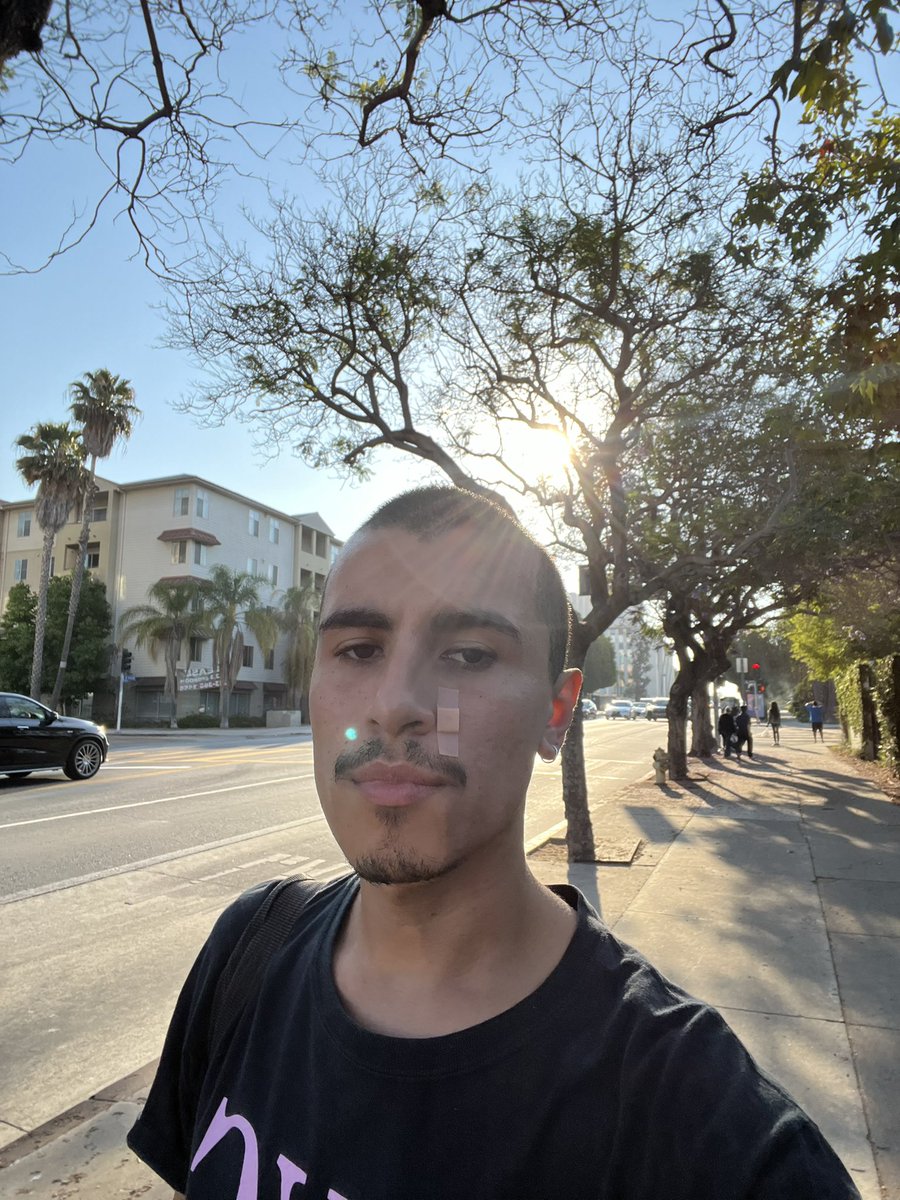 ☘︎ (@allotherforms) on Twitter photo 